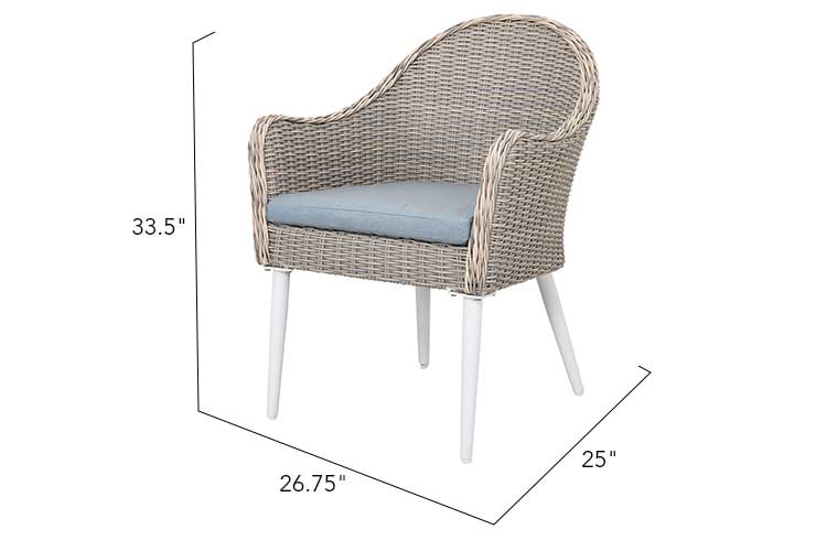 Dining Chair